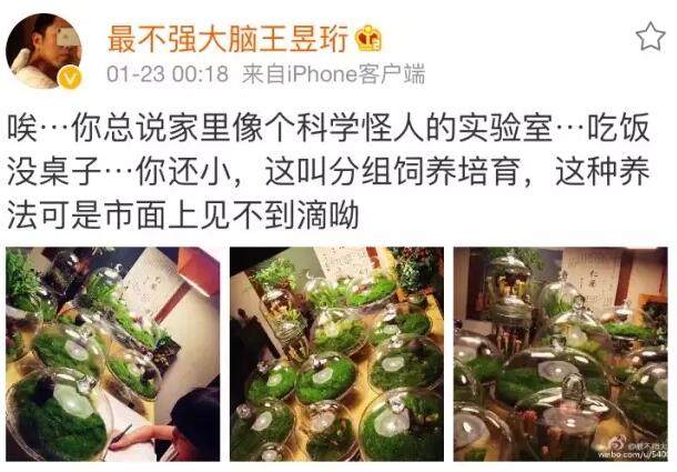 像最強(qiáng)大腦“水哥”這樣的神級(jí)人物，要用怎樣的英文詞來形容