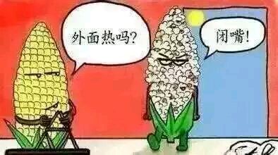 除了It's so hot，還能怎么用英語形容熱到飛起？