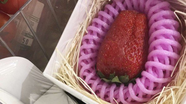 這種草莓150元一顆，一定很好吃……吧？
