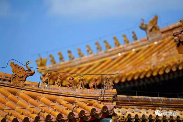 習(xí)近平特朗普同游故宮！那些讓特朗普驚嘆的殿、樓、齋，用英文怎么說(shuō)？