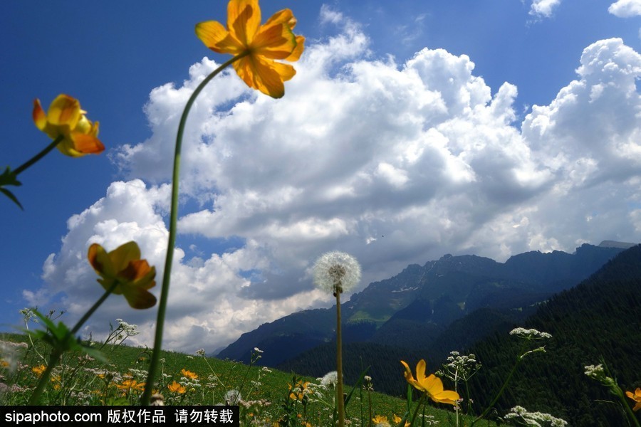 藍(lán)天白云刷屏！盤點(diǎn)風(fēng)清日朗的絕美風(fēng)光 為眼睛降溫