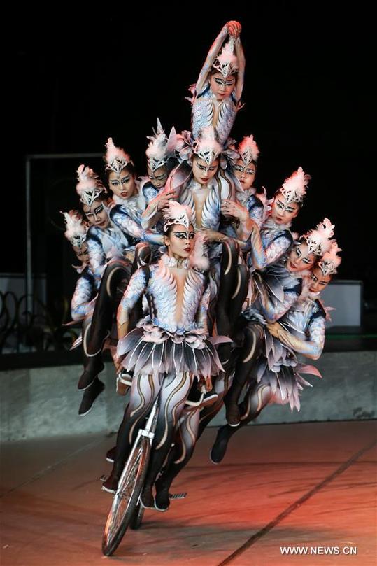 Highlights of 10th China Acrobatics Golden Chrysanthemum Awards