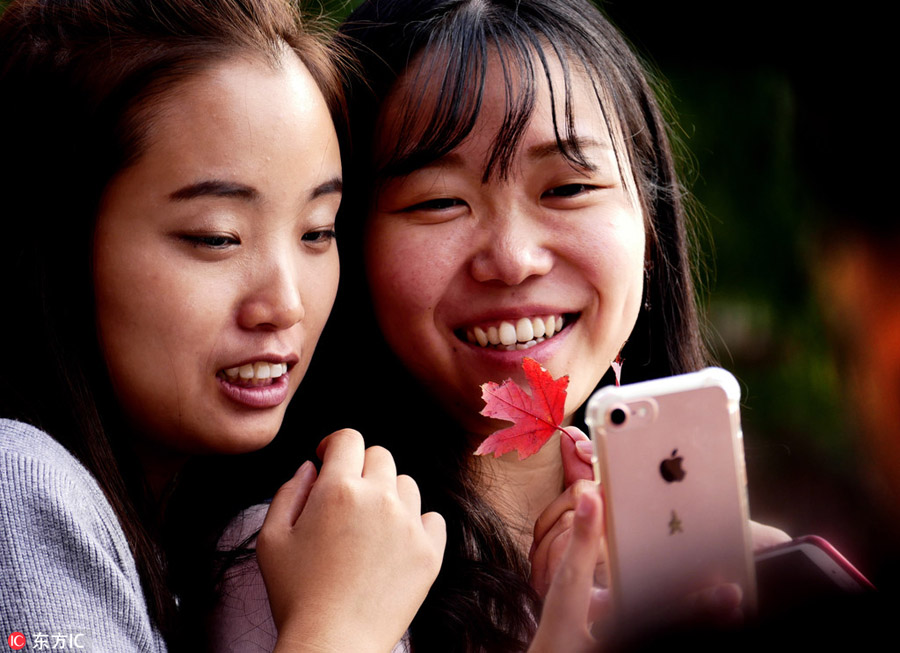 Beijing embraces vibrant colors of autumn